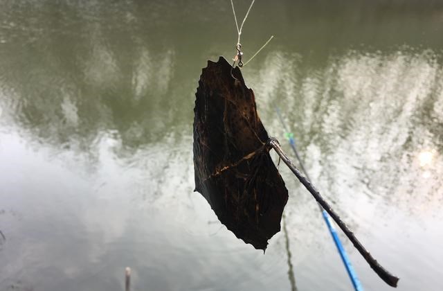 |除了鱼获之外，钓到这些奇葩东西，才算真正的钓鱼人