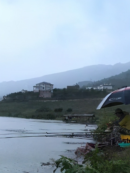 |春天想要钓大鱼，得分三步走，再谨慎的大鱼都得上岸——盛世三渔