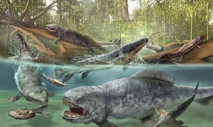 蚊子 鲨鱼进化之悲歌：被其他霸主欺负亿万年的感觉，你们人类不会懂的