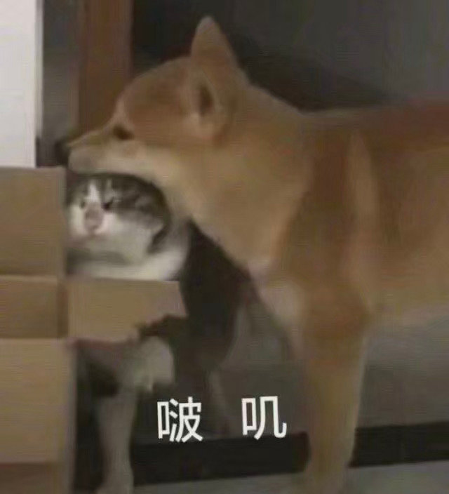 桉月|表情包：吃完这个就减肥