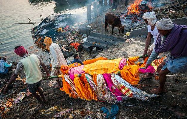 印度 成功入侵我国的“垃圾鱼”在印度成美味,鲶鱼泛滥阿三为啥不吃?
