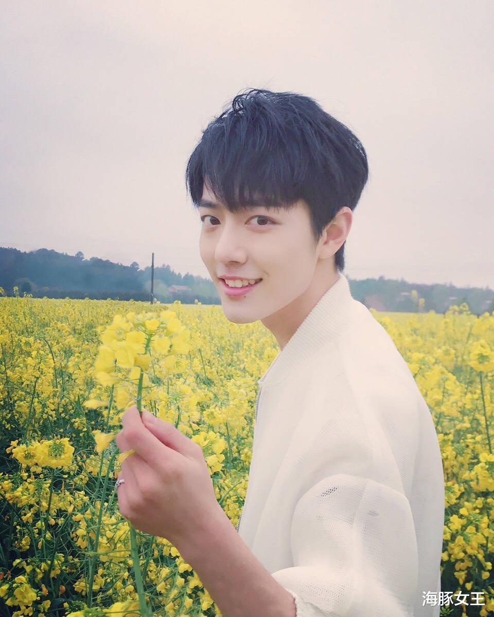 肖战|同为“耽改剧”捧红的明星,肖战王一博龚俊张哲瀚,咋如此不同?