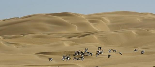 撒哈拉沙漠 打通喜马拉雅山，荒漠变水田？专家也有此构思，撒哈拉沙漠变大海