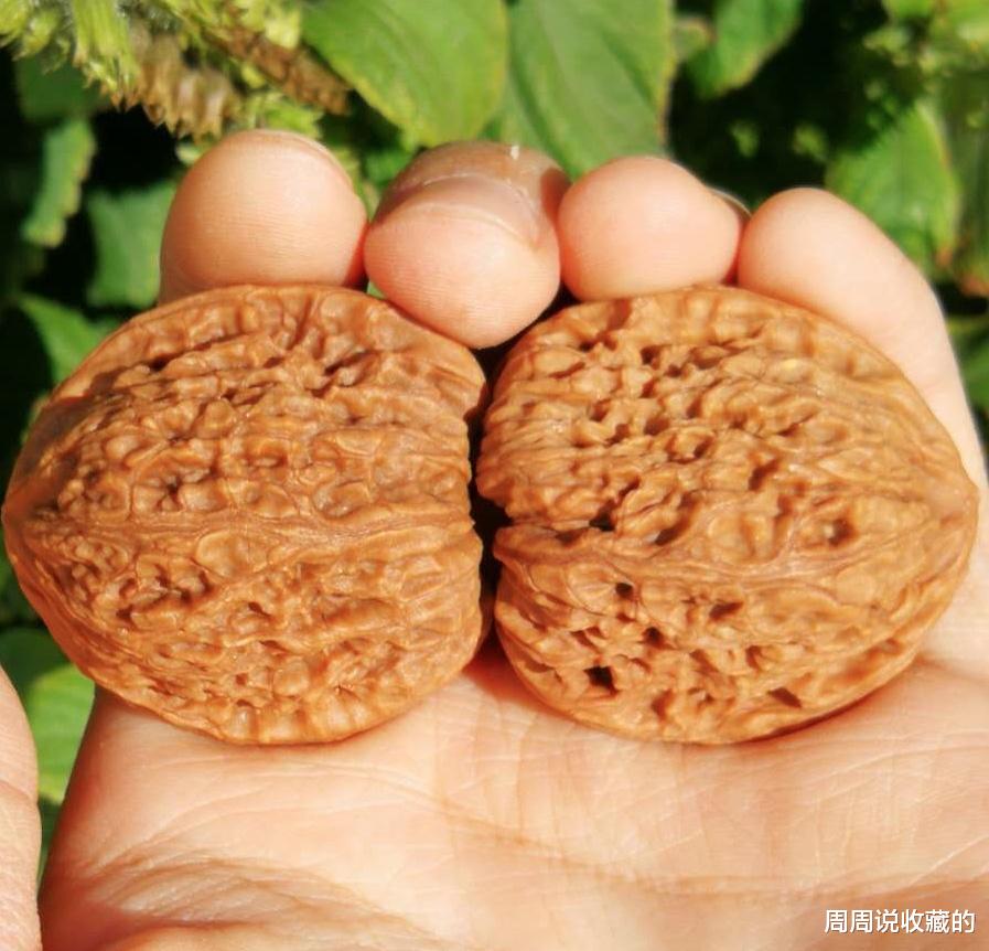 文玩核桃|文玩核桃怕冷吗？裂开了怎么办？怎么去辨认核桃品种