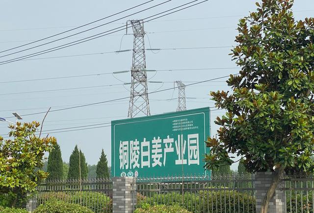 百艾堂|104岁道长张至顺，养生中总结4要点，长期坚持，疏通经络、养阳气