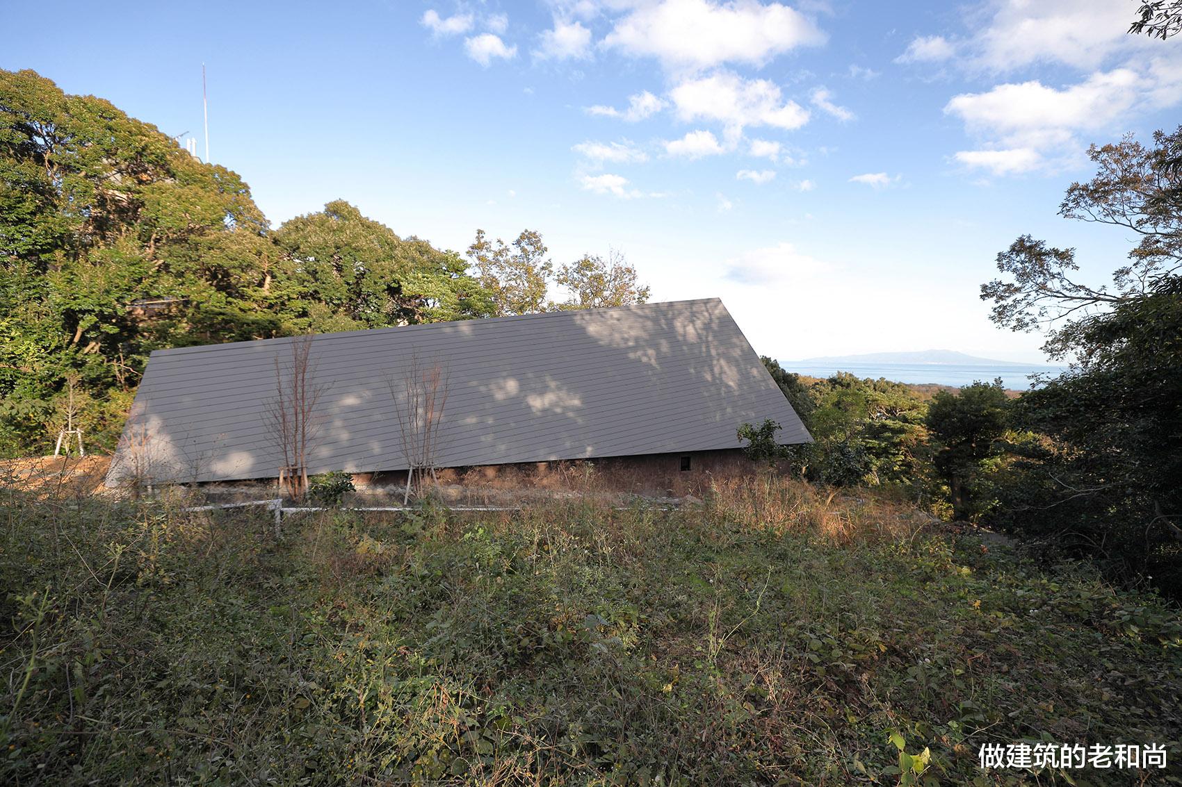 坐落在悬崖边的住宅:透过树林,欣赏远处的海景