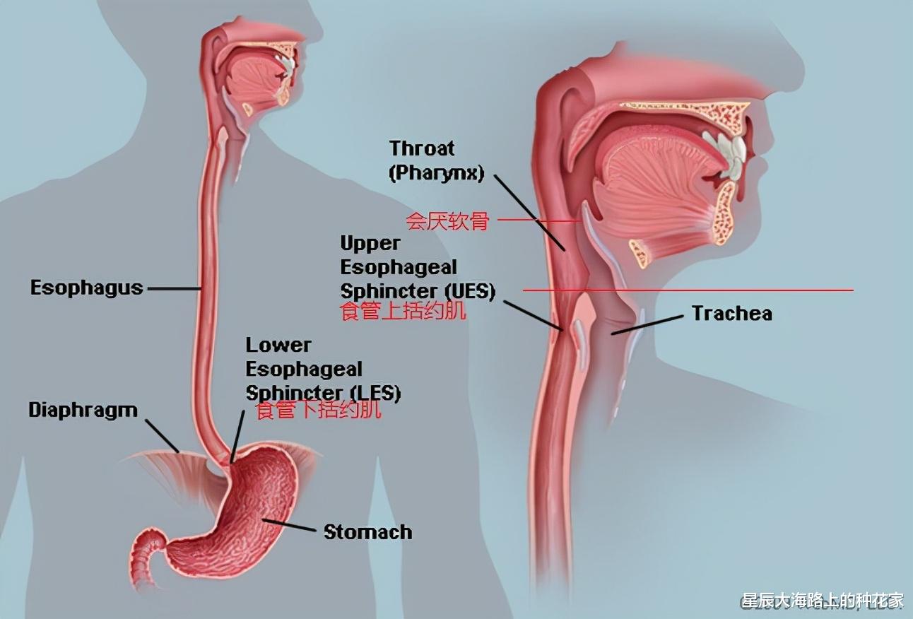 达·芬奇 中国办法是什么?神13号女航天员6个月生理期:NASA建议吃避孕药