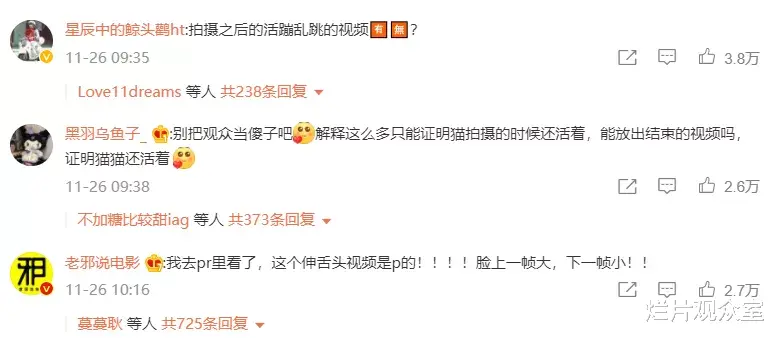 王岳伦|《当家主母》剧组的那只白猫，确实死了