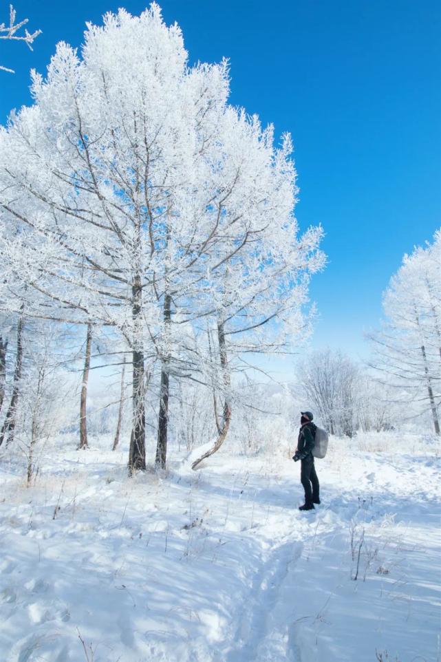 越南|盘点东北最惊艳的7个雪景地，随手一拍都是大片，美得让你不想走