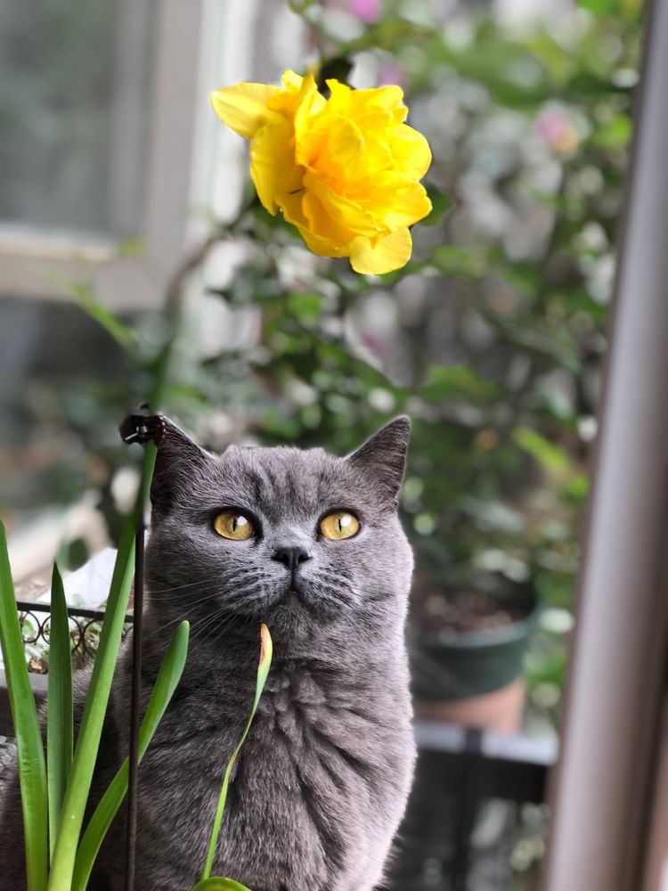 18年房龄的老房子，50㎡花园改造后，成了家人朋友最爱待的地方