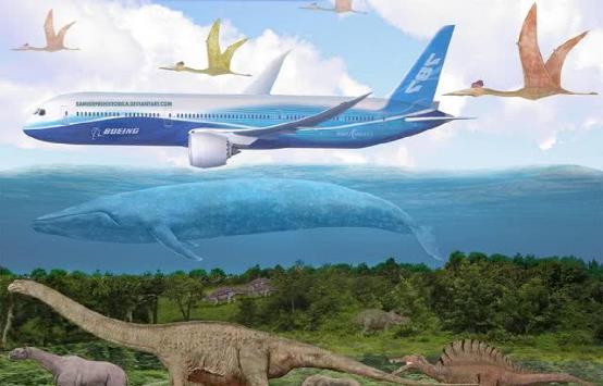 核聚变 蓝鲸被称为地球上的“巨无霸”，那它有没有对手呢？本文给你揭秘