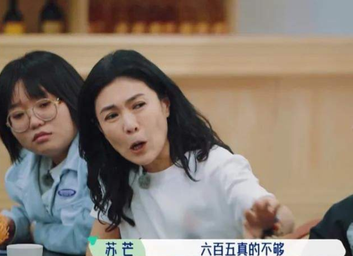 苏芒|坐潘石屹大腿摸史玉柱下身? 苏芒奔放旧照曝光，马云在旁边干笑