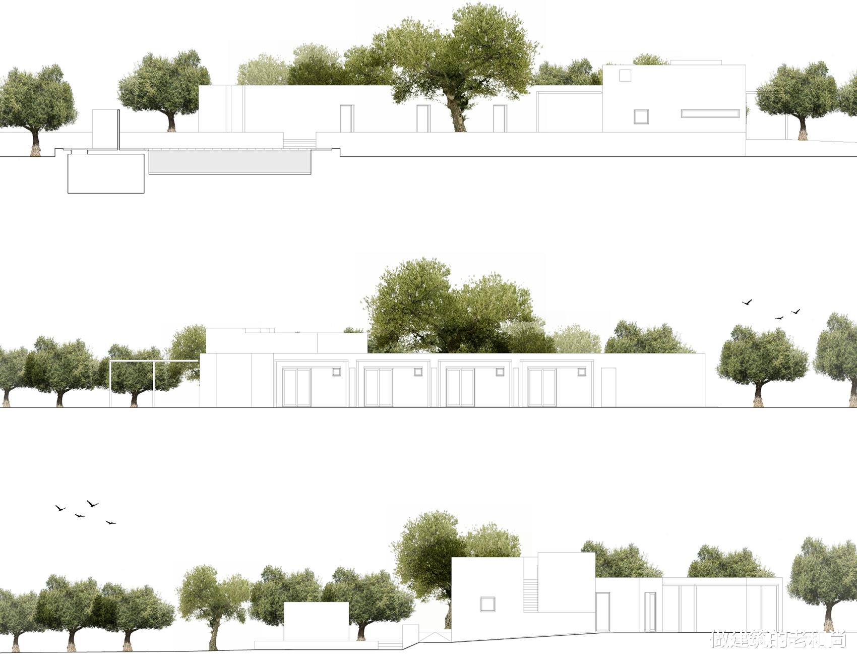 做建筑的老和尚 以百年橄榄树为中心的住宅：建筑体块为其旋转，室内外界限被模糊