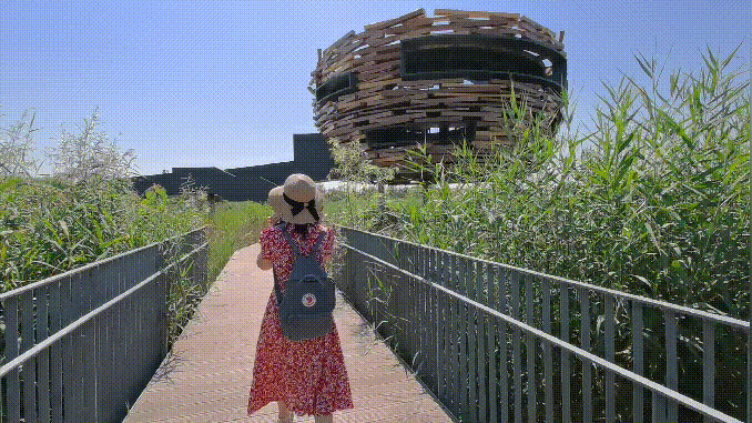 律师 华为P50 Pro实拍,3.5X长焦镜头画质如何?已达可信赖程度