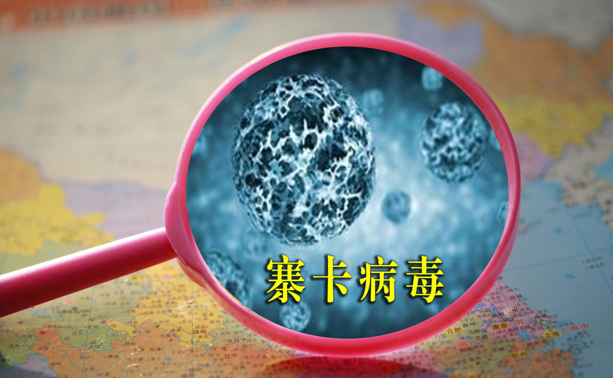 抗体 病毒为何不像细菌那样那么容易被杀死?