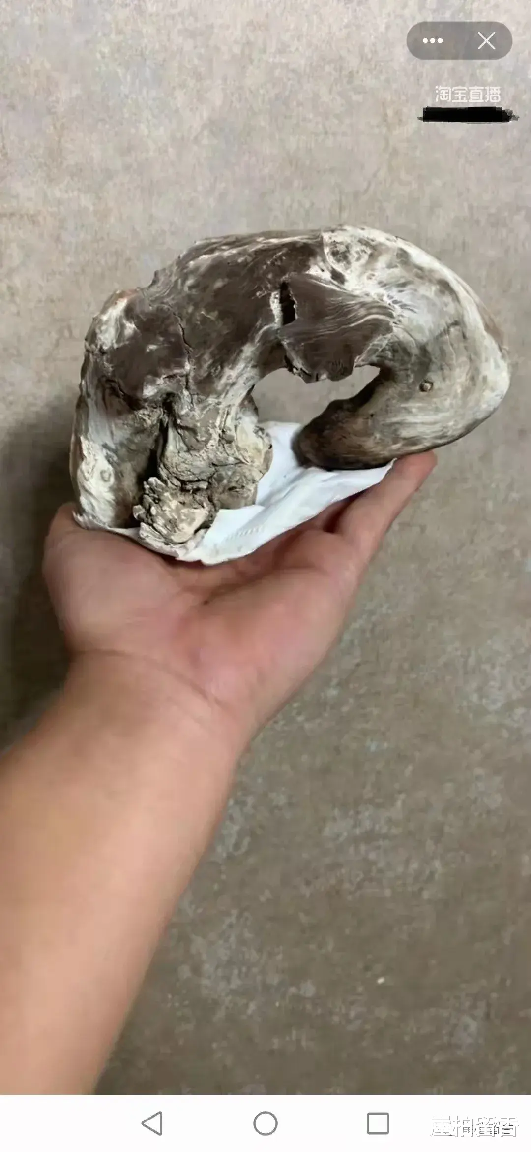 博物馆|什么是太行崖柏骨料呢？