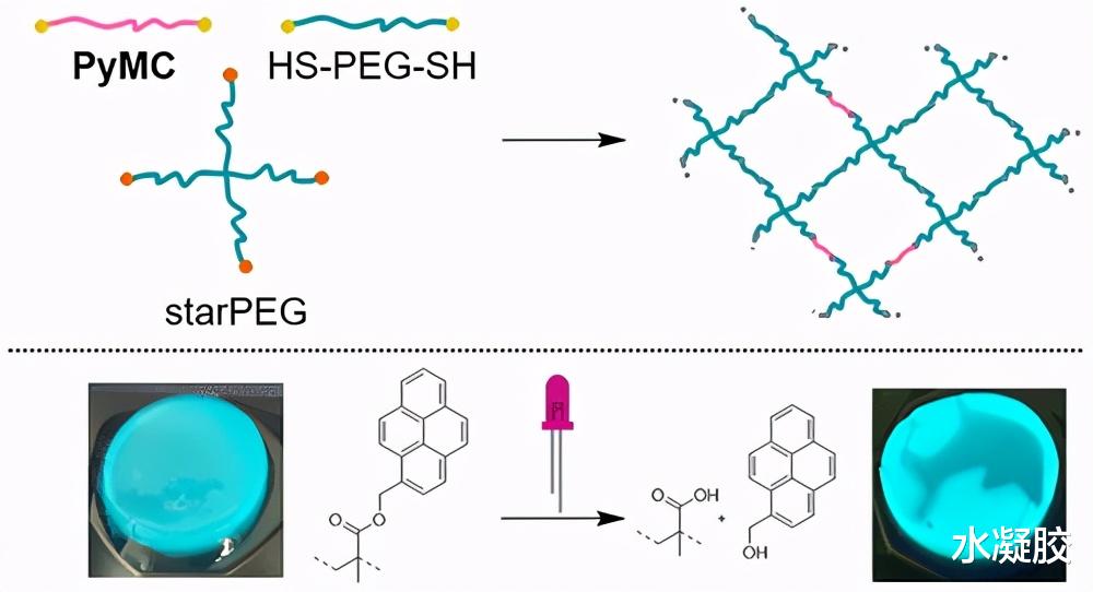  《ACS Polymer Au》首篇水凝胶！多响应PEG水凝胶中芘共聚物光反应性