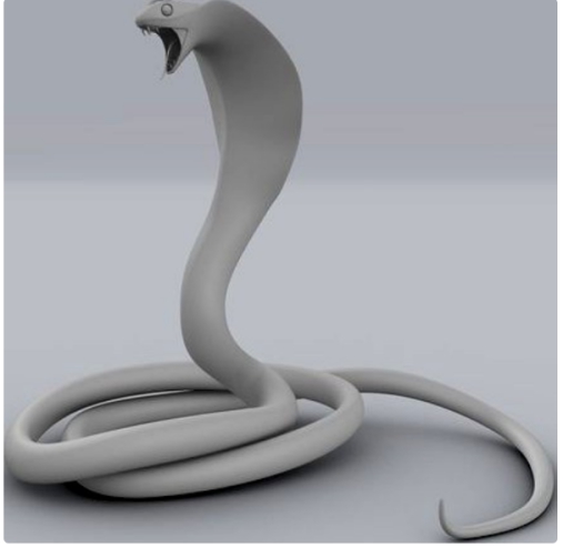 蟒蛇 蛇能吞下多大的动物？泰国出现罕见一面，这头牛悲剧了