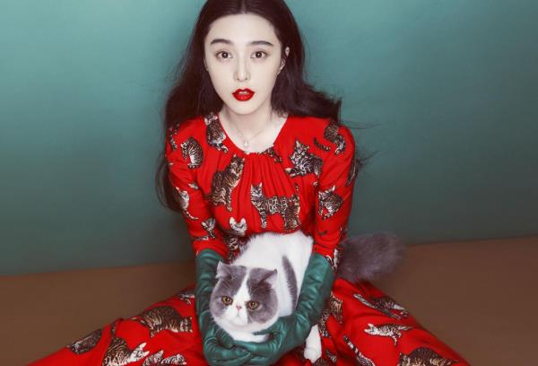 郑爽|郑爽怕被娱乐圈遗忘，半夜换头像博话题，模仿范冰冰在韩国出道