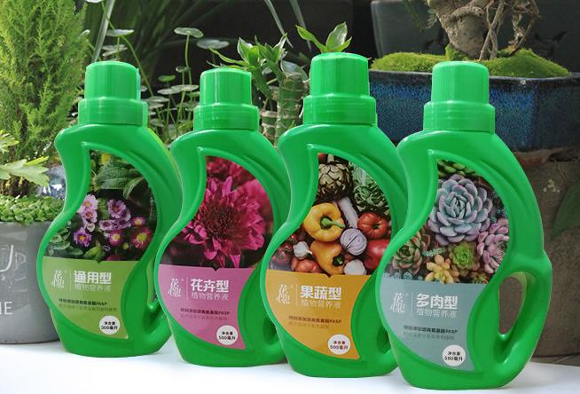 买这房子，就是看上这个40㎡的院子，改造后美得像一幅四季风景画