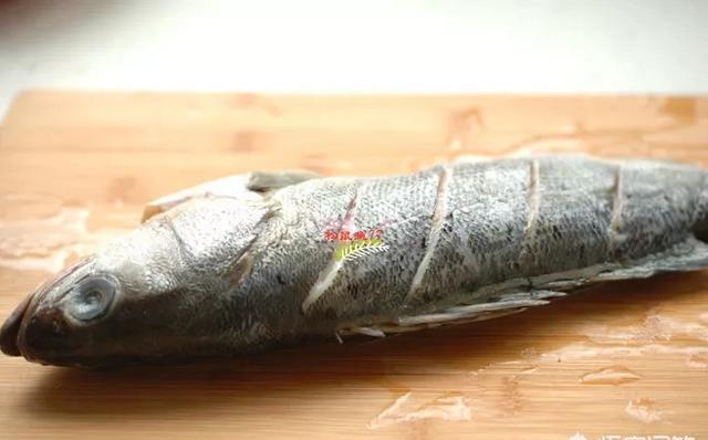 纷纷谈综合|什么鱼用来清蒸合适？
