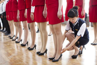 日本航空|日本航空出新规定，空姐必须穿“安全袜”，是有什么猫腻吗？