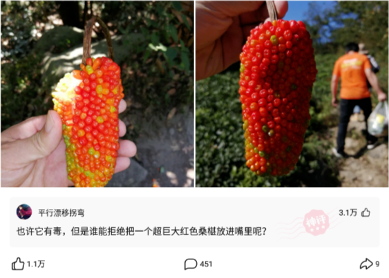 克汉情感|神回复：假如地球停电30年，只能选一个，你会选哪一个？