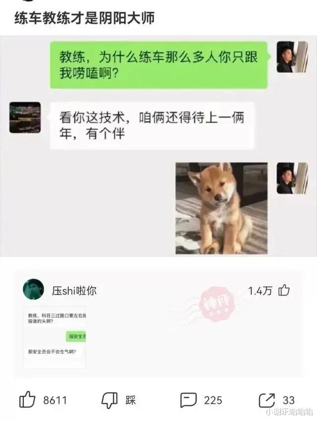神回复|神回复：马云判断未来房价会成白菜价，是基于什么逻辑？神评亮了