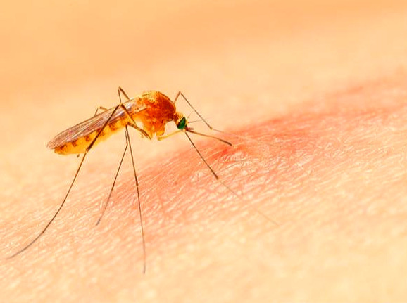 张医生科普|膝关节突然红肿热痛,夏季多见于这两种情况,该咋办?一起来看看吧