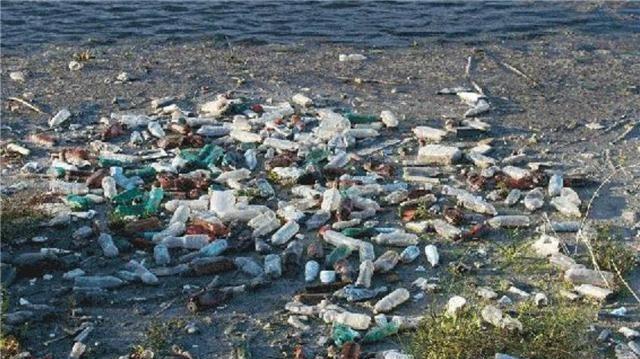 科学家在人类粪便中：发现有塑料颗粒，难道说霍金的预言要实现了