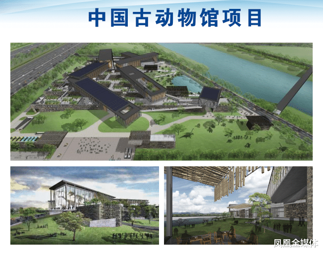 凤凰全媒体 0312 大保定的区号 是我们与世界连接的数字