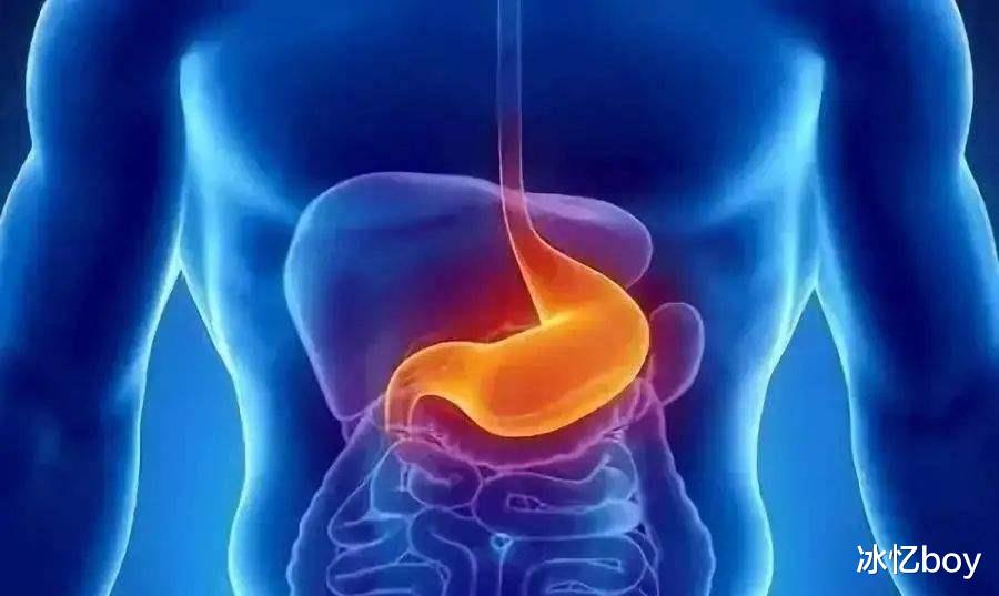 胃病|胃病“祸根”已找到，第一名并非辣椒，若你不碰，胃或会越发健康