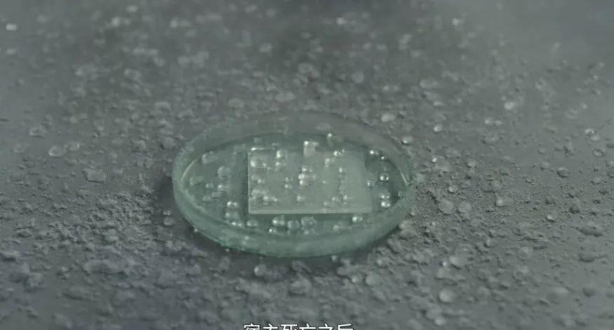 孔刘+裴斗娜,这阵容太强大了