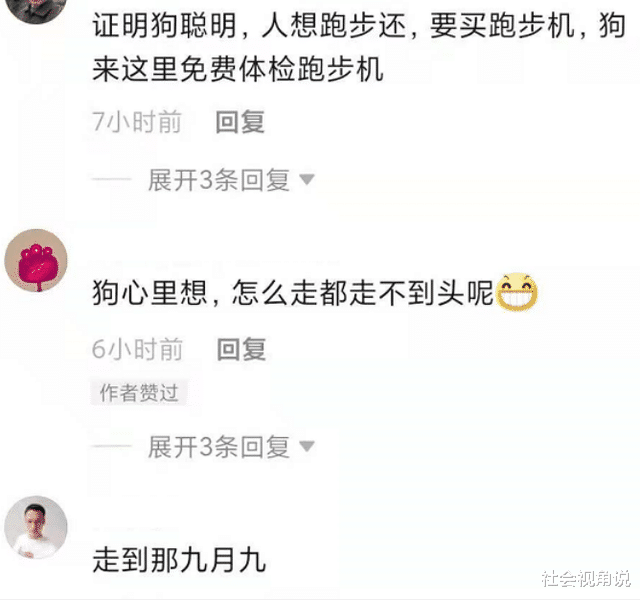 社会视角说 浙江一狗从上行电梯下楼，总差一步下不来，“方向不对努力白费”