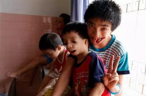 转基因 基因编辑≠转基因，但都是在赌博？