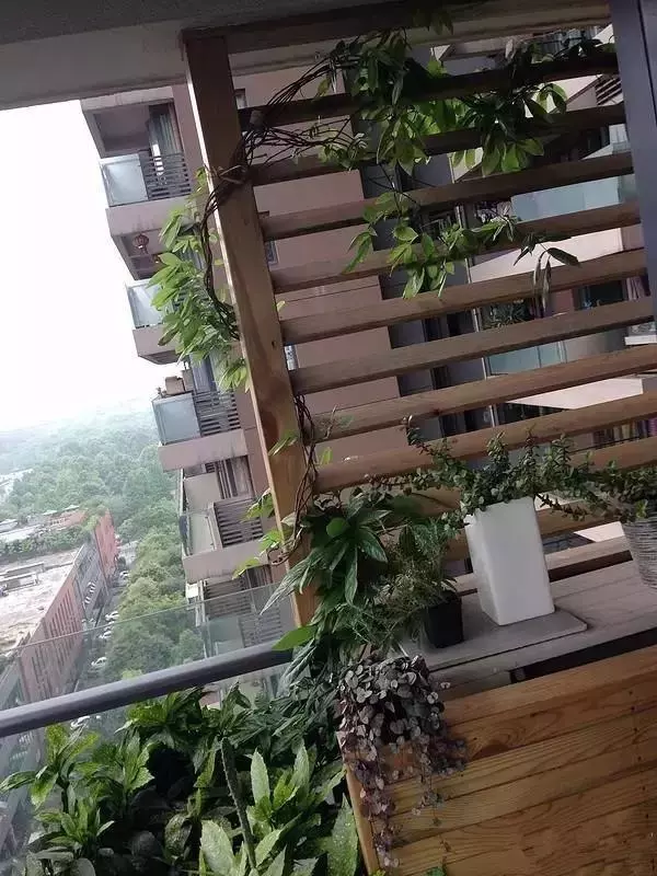 装修设计精选|朋友家阳台花园非常漂亮，我就纳闷，他家不用晒衣服吗？