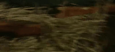 沙溢|吓尿了！16年前的国产剧，尺度竟如此惊人？