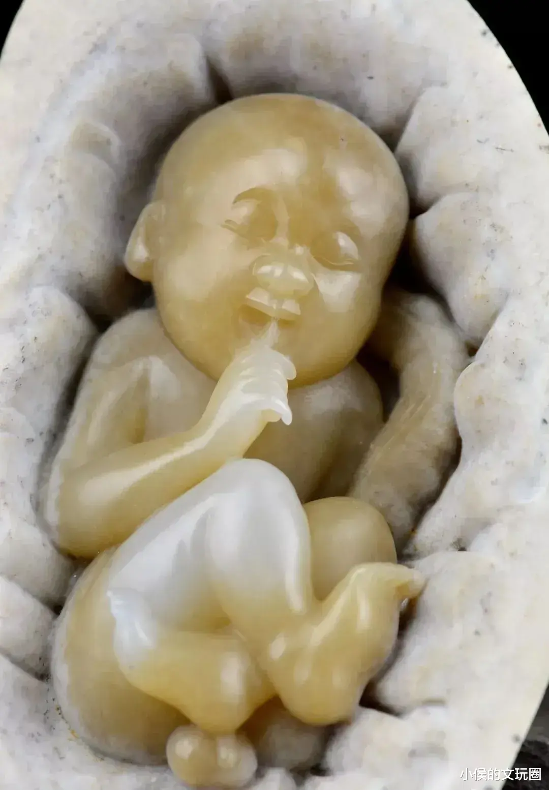 报国寺|明晃晃的大白肉,开出115万的高价,多少人抢着买!