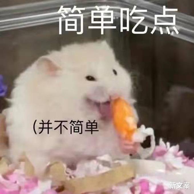 大学|辅导员掉水里了怎么办？好家伙，你们怕不是戏精专业吧？