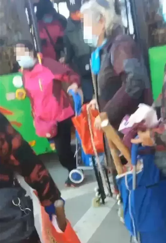河北老人“组团偷菜”引发全网众怒:你为老不尊的样子,真丑!