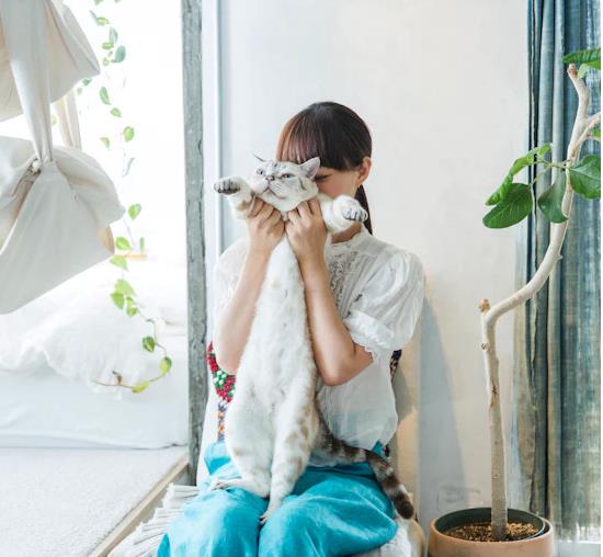 日本太太的家居写照：一人一猫，一屋绿植，充满温馨