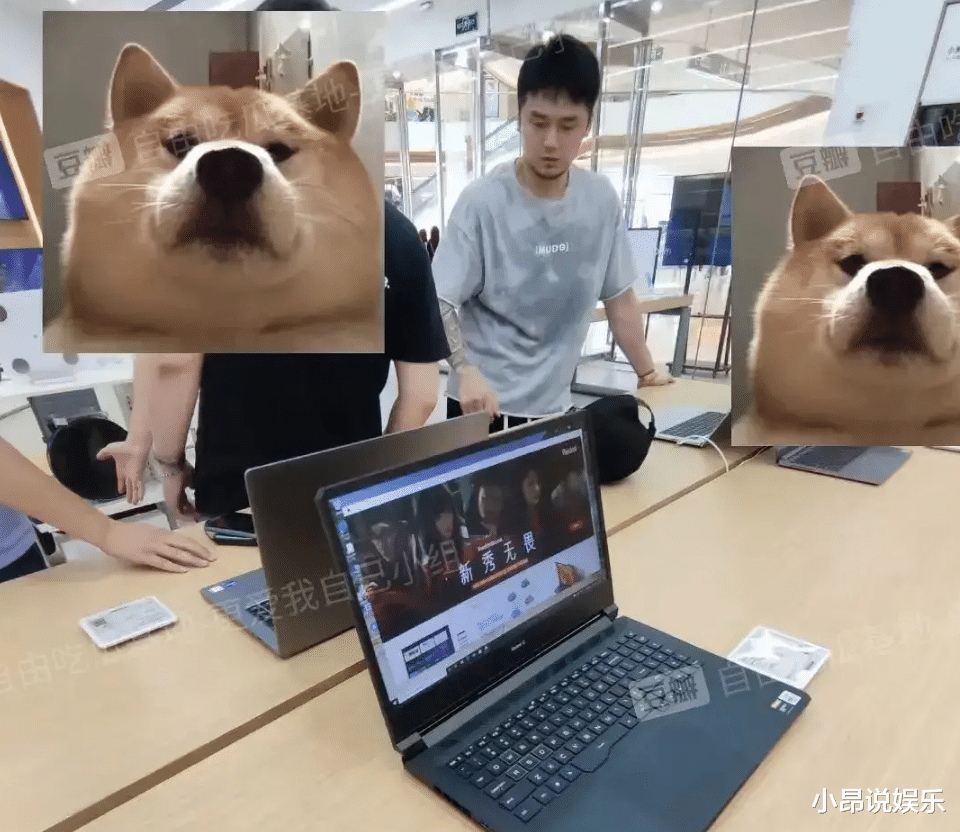 龚俊|蒋劲夫现身电脑城挑手机，满身大汗衣服被浸湿，花臂瞩目如社会人