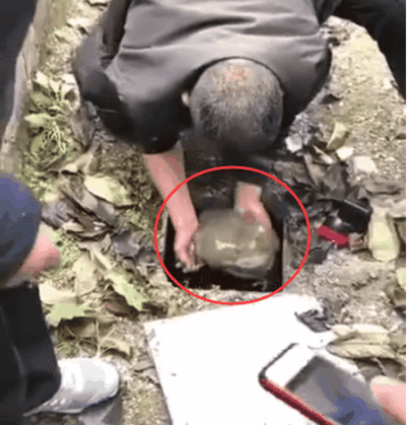 “我发现下水道有动静,没想到抓到这奇葩生物”