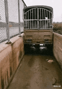 书尽心生|神回复:玩游戏遇到这种情况,你脑子里头一个念头是什么?