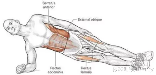 运动|腰痛康复的“三大必练动作”!
