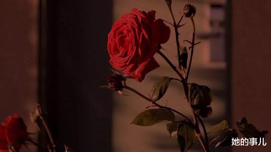 衰老|养生就选艾灸