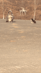 |“给网恋对象发了张美甲照，为什么他把我删了？”哇哈哈哈哈～