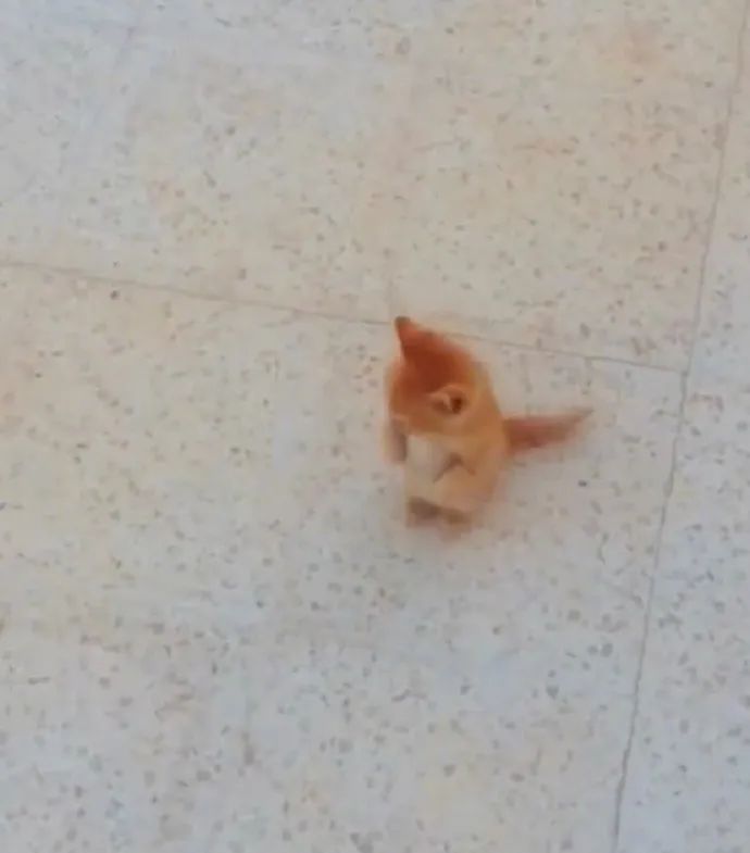  运钞车司机：耍个酷咋钱没了