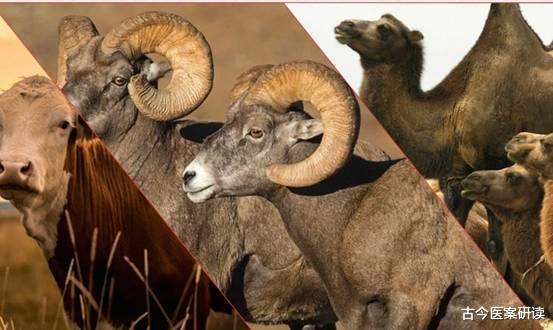 骨质疏松|吃一口胜过13斤黑豆，医生：更年期女性不妨多吃，或能将骨质疏松“拒之门外”