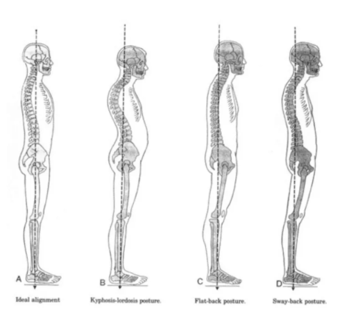 医生|跳绳对身体有什么作用?每天跳绳好吗?